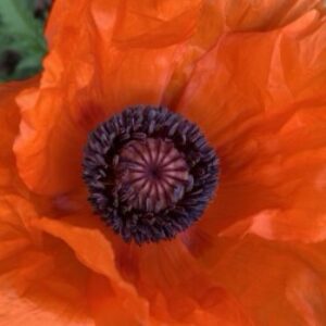 Profilbild von Christiane