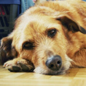 Profilbild von Max