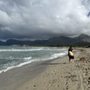 Profilbild von Meer