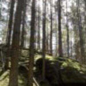 Profilbild von Meinweg